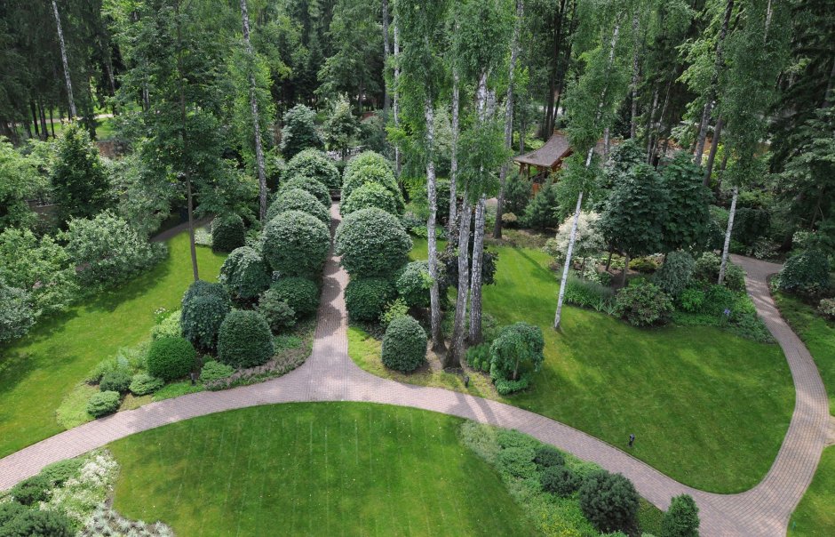 Теневой сад Владимира Колесник