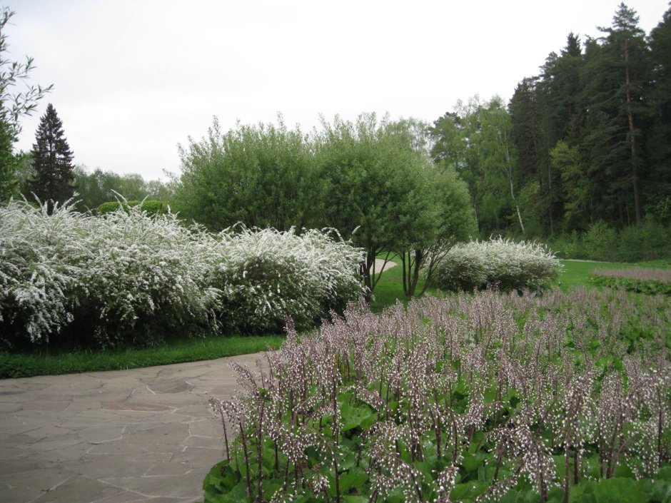 Дача Колесника