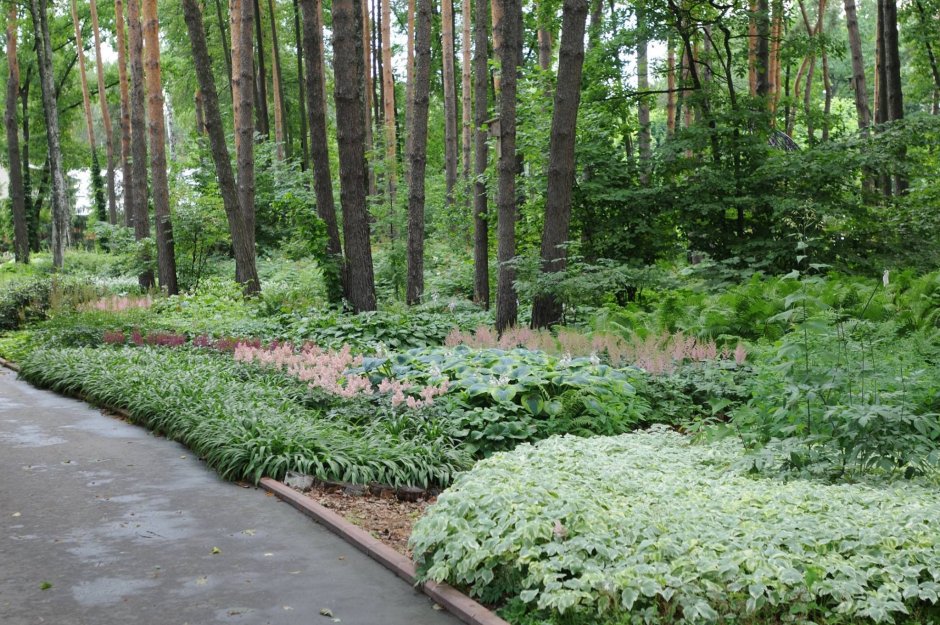 Колесник Владимир ландшафт