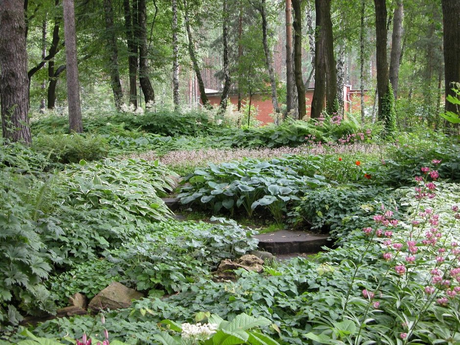 Елена Синодская ландшафтный дизайнер