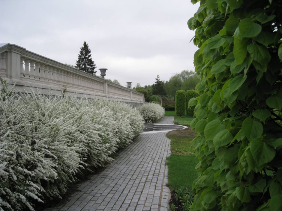 Роберт БРУКЕМА ландшафтные сады