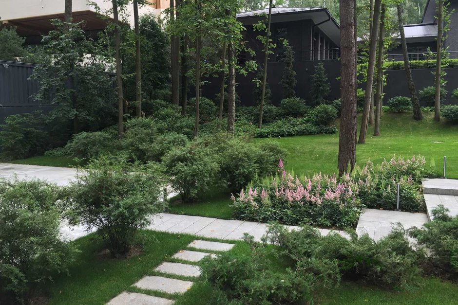 Илья Васецкий ландшафтный дизайнер его работы