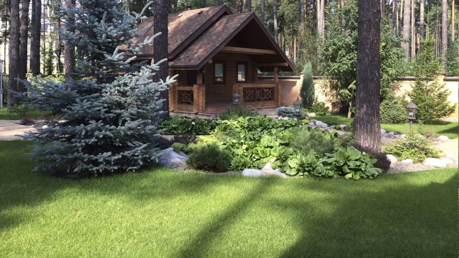 Сад Владимира Колесника