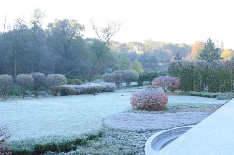 Владимир Колесник ландшафтный дизайнер интервью