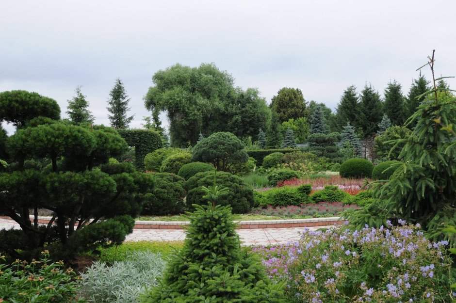 Миксбордер тенелюбивый