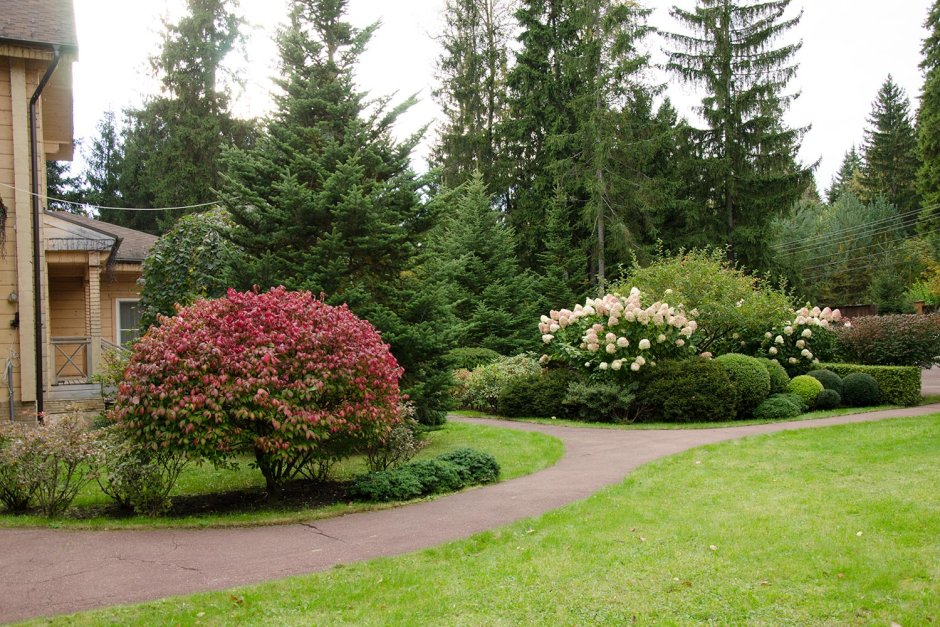 Особняк Ксении Бородиной