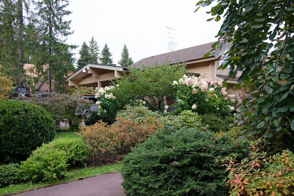 Юлия Караулова 2020