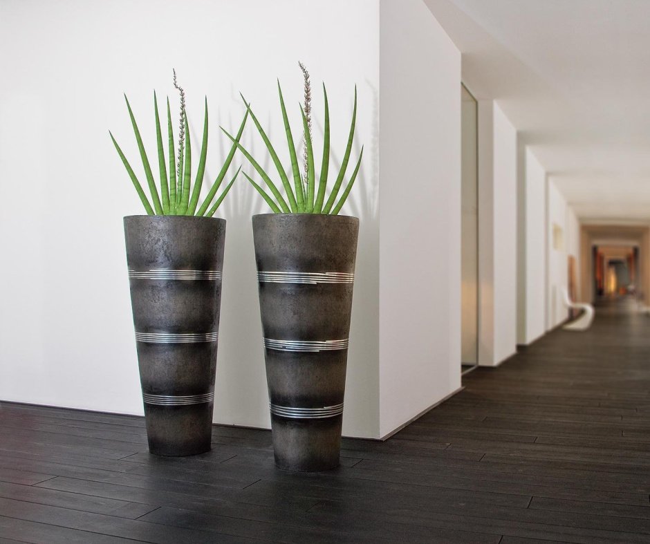 Тещин язык в ящиках