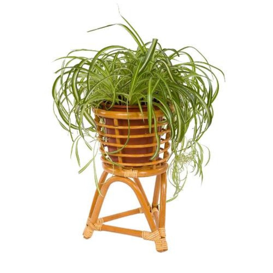 Подставка под цветы