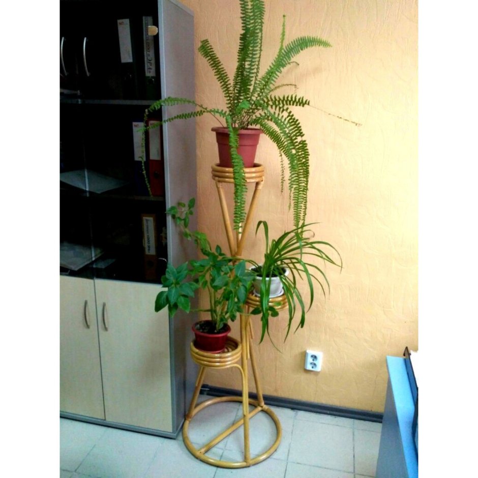 Браун ротанг