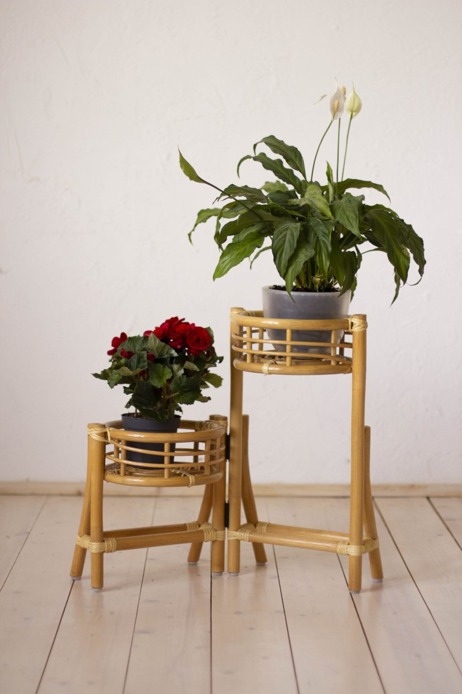 Цветочница Vinotti 15/01 мед