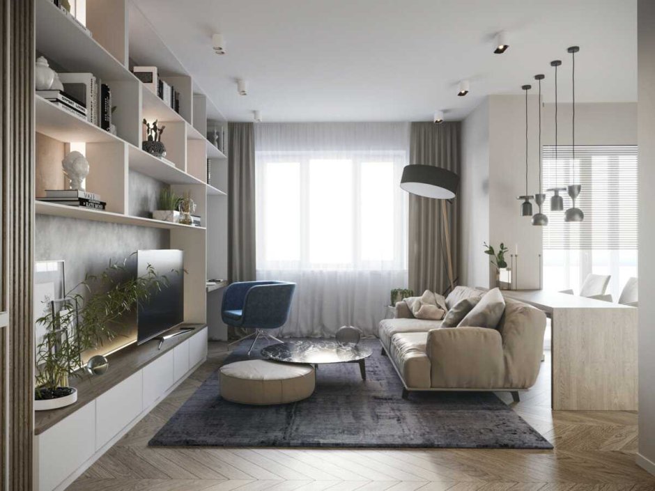 Кухня гостиная