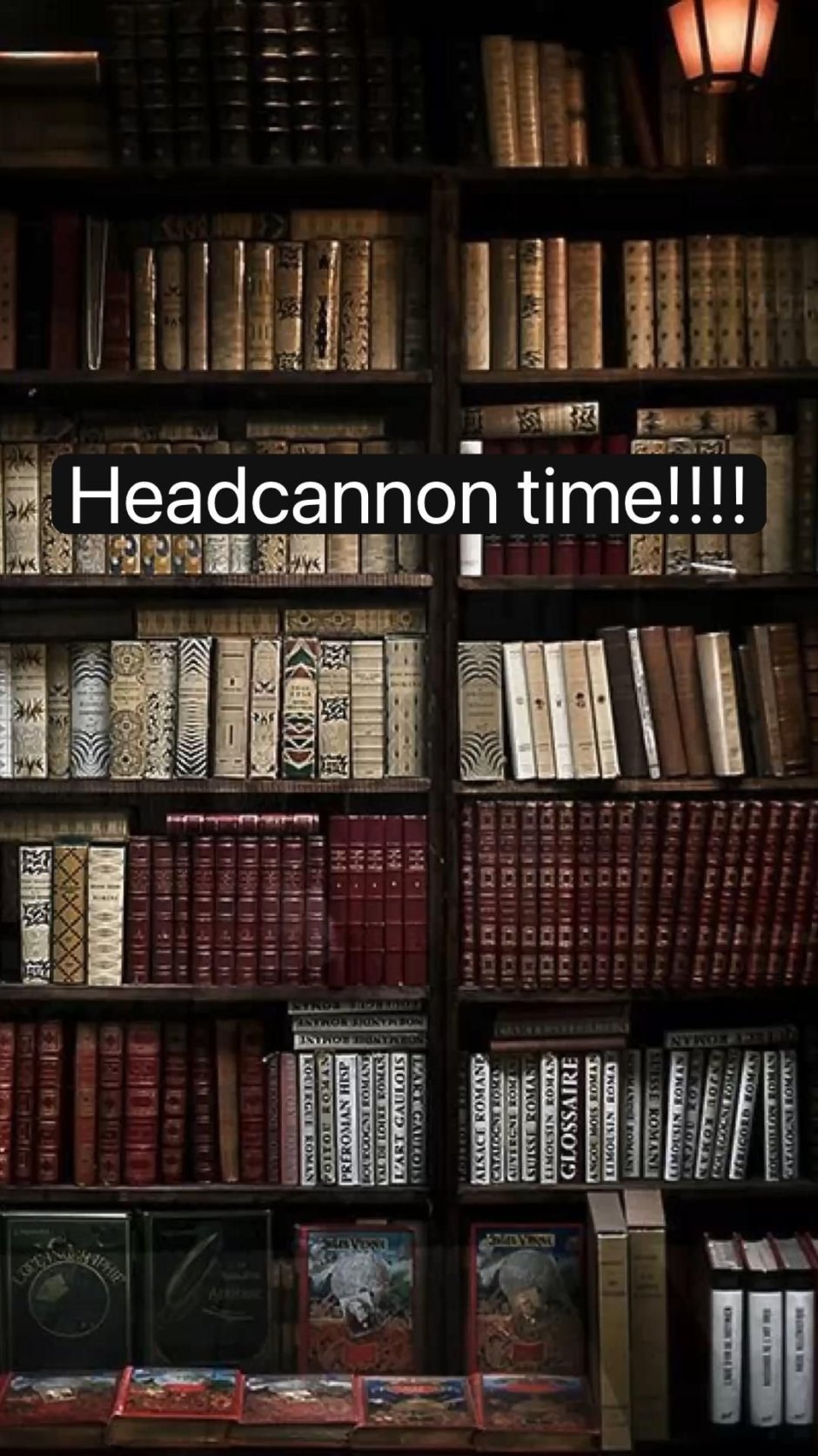 Книжный шкаф Гарри Поттер