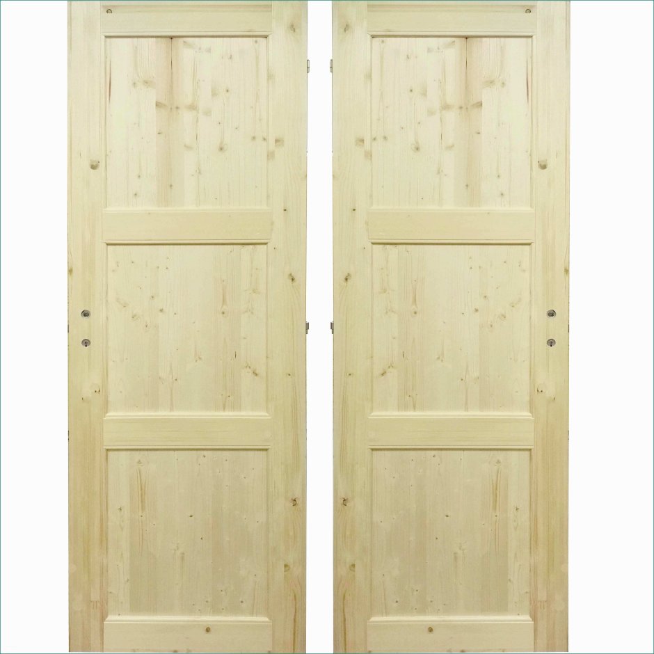 Двери деревянные для дачи в Леруа Мерлен