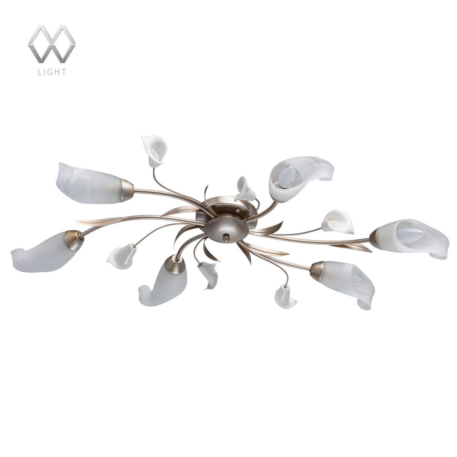 Бра MW-Light 242025601 восторг