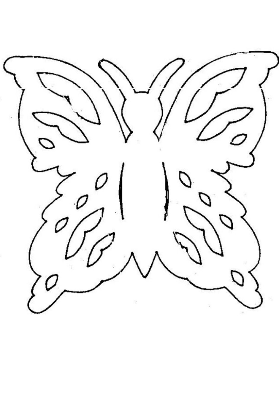 Трафарет бабочки вытанки