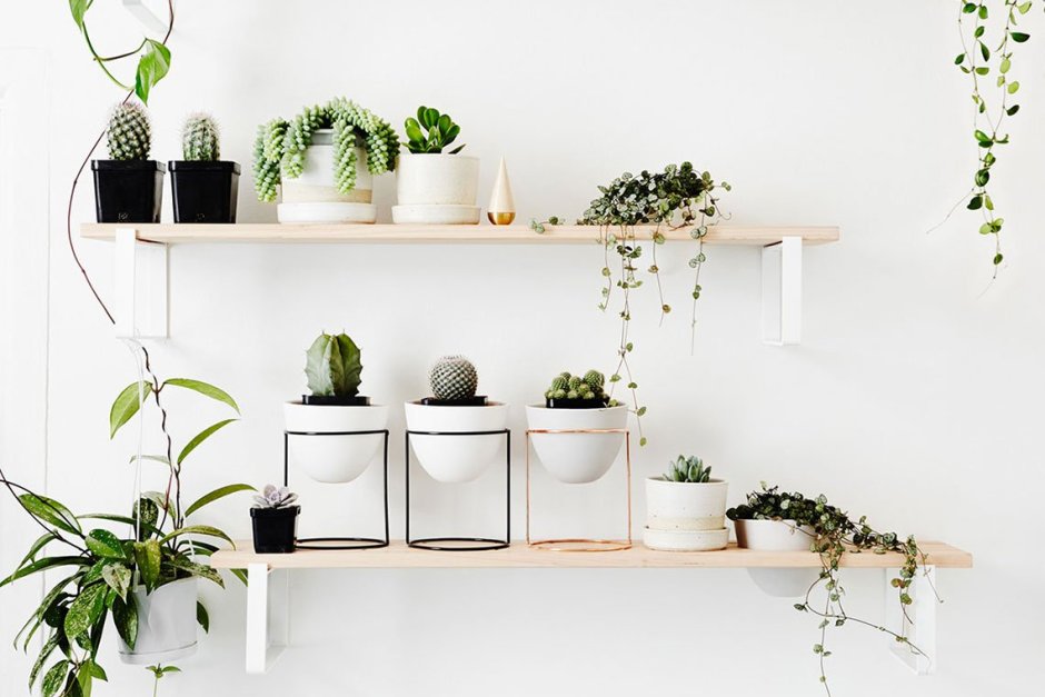 Картины для интерьера Прованс