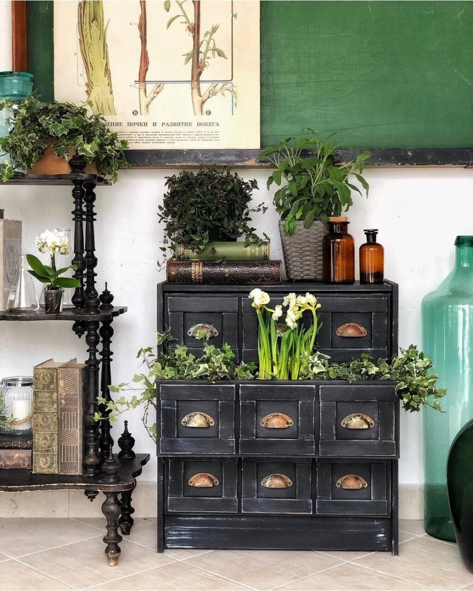 Комнатные цветы на комоде в интерьере