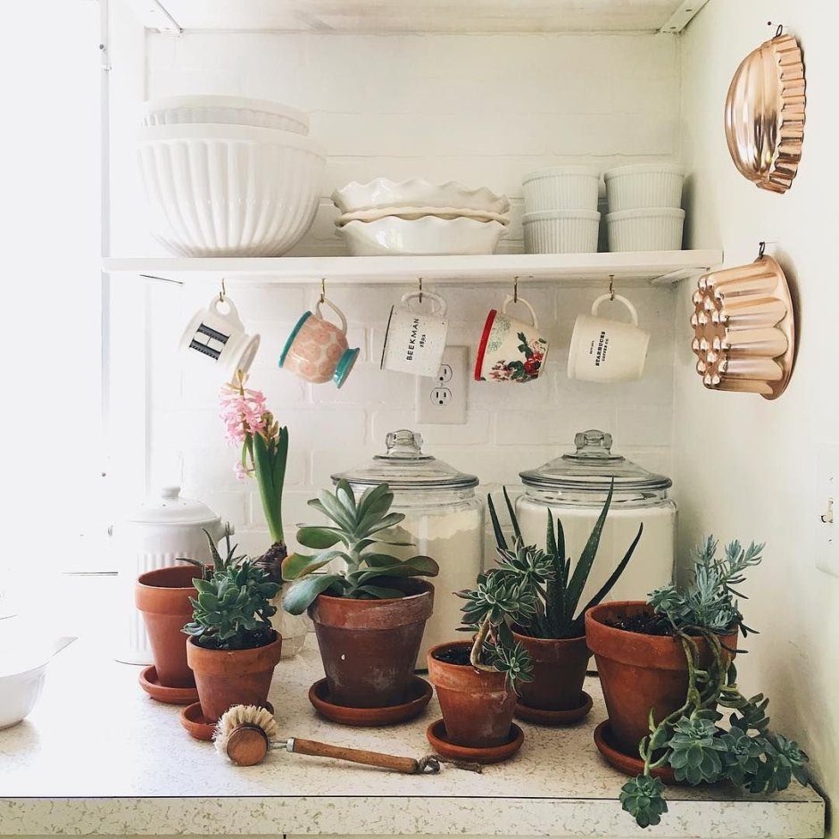 Интерьер с цветами