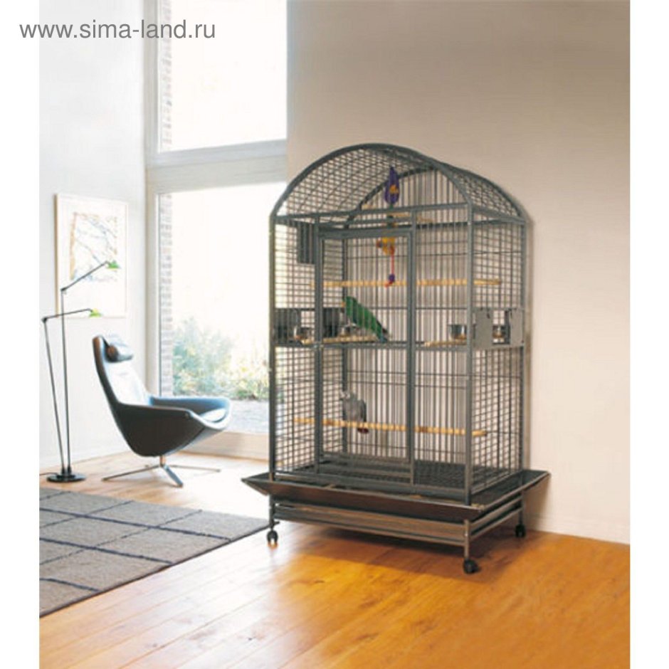 Комната для попугаев