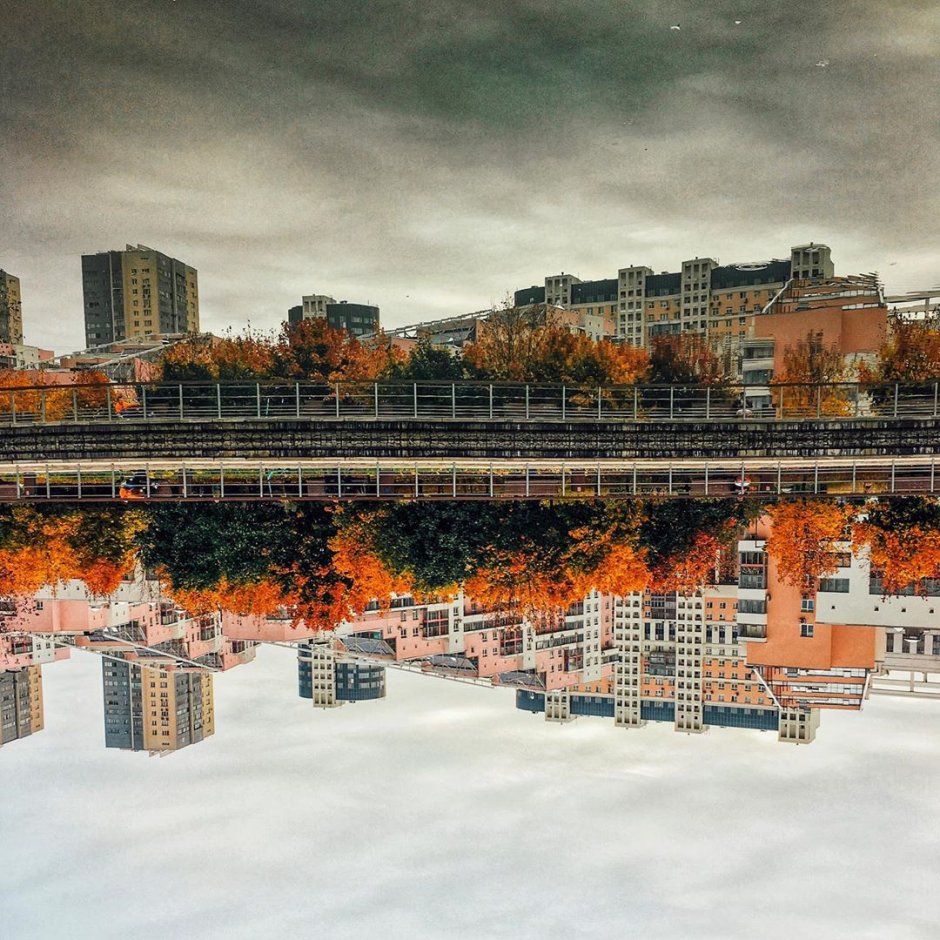 Мегаспорт Москва сектор с1