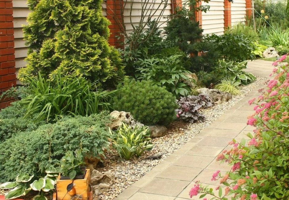 Рокарий с можжевельником казацким