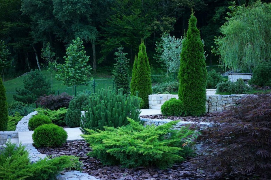 Рокарий с туей Смарагд