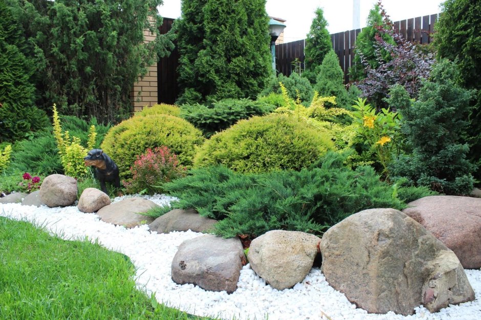 Туи можжевельники и барбарисы в миксбордере