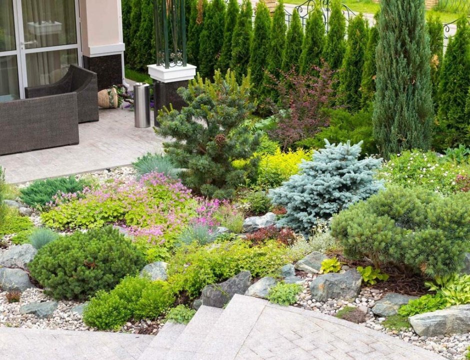 Туя Смарагд,можжевельник казацкий,Горная сосна-клумба