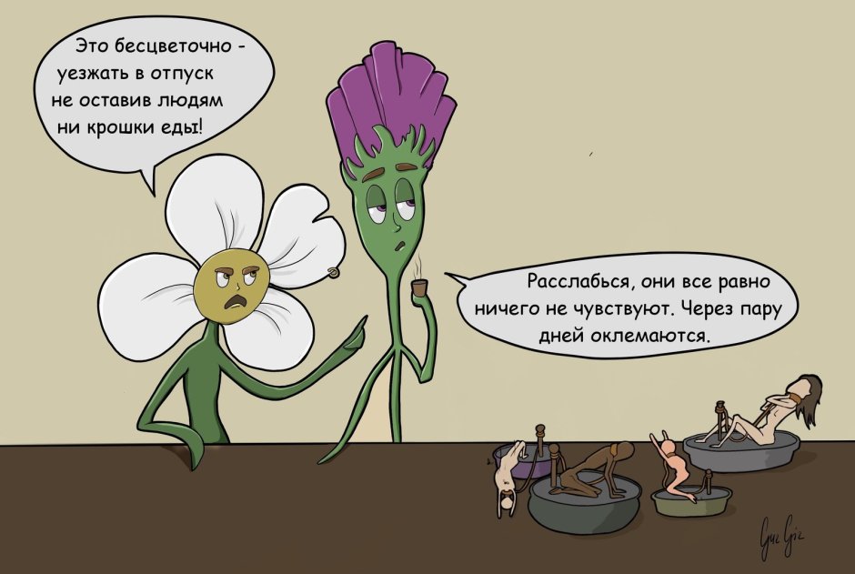 Комнатные растения очищающие воздух в квартире