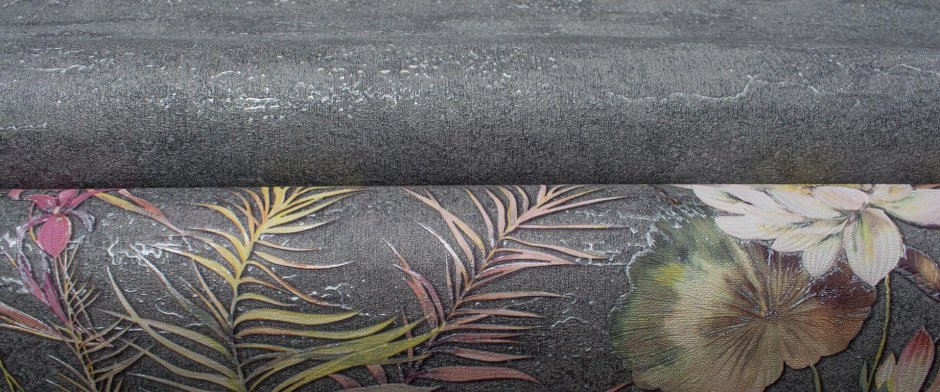 989549 Victoria Stenova Amazonia