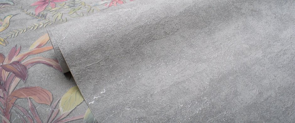 Victoria Stenova Amazonia