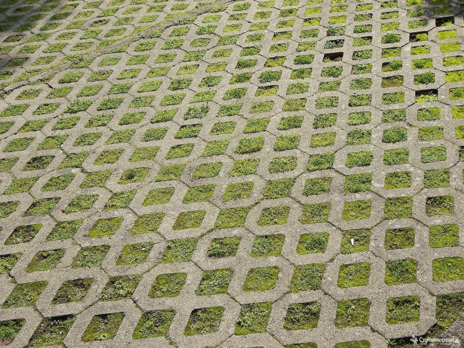 Тротуарная плитка с травой в швах