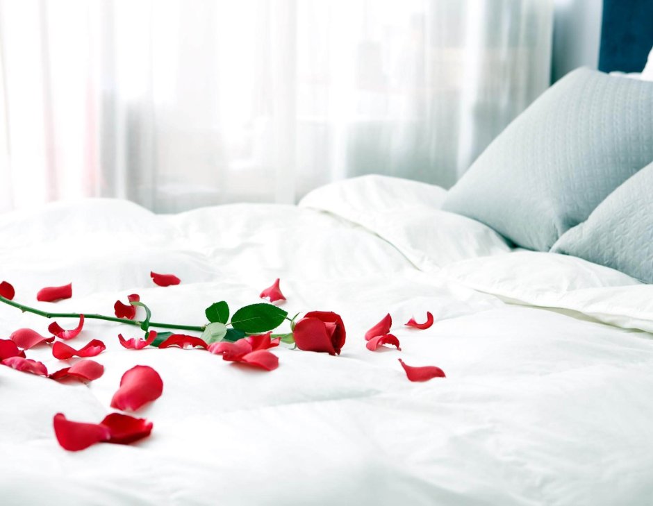 Постель с лепестками роз