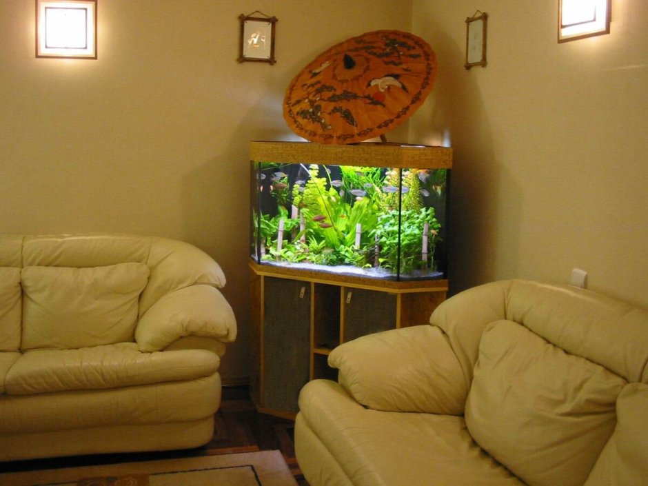 Интерьер гостиной с аквариумом в перегородке