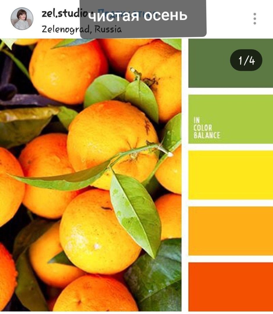 Цветовая палитра оранжевый зеленый