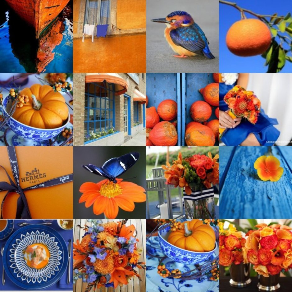 Сочетание синего и оранжевого в природе