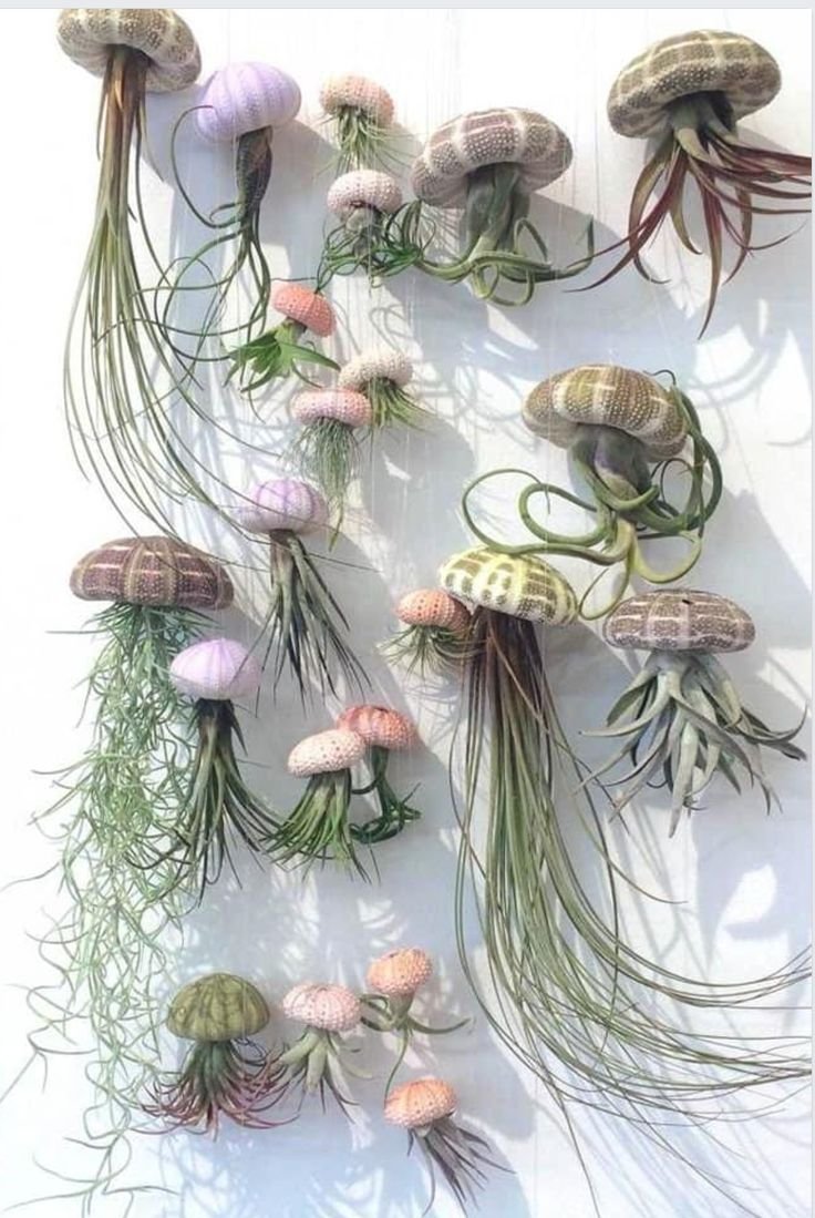 Искусственное растение Jelly-Fish Plants