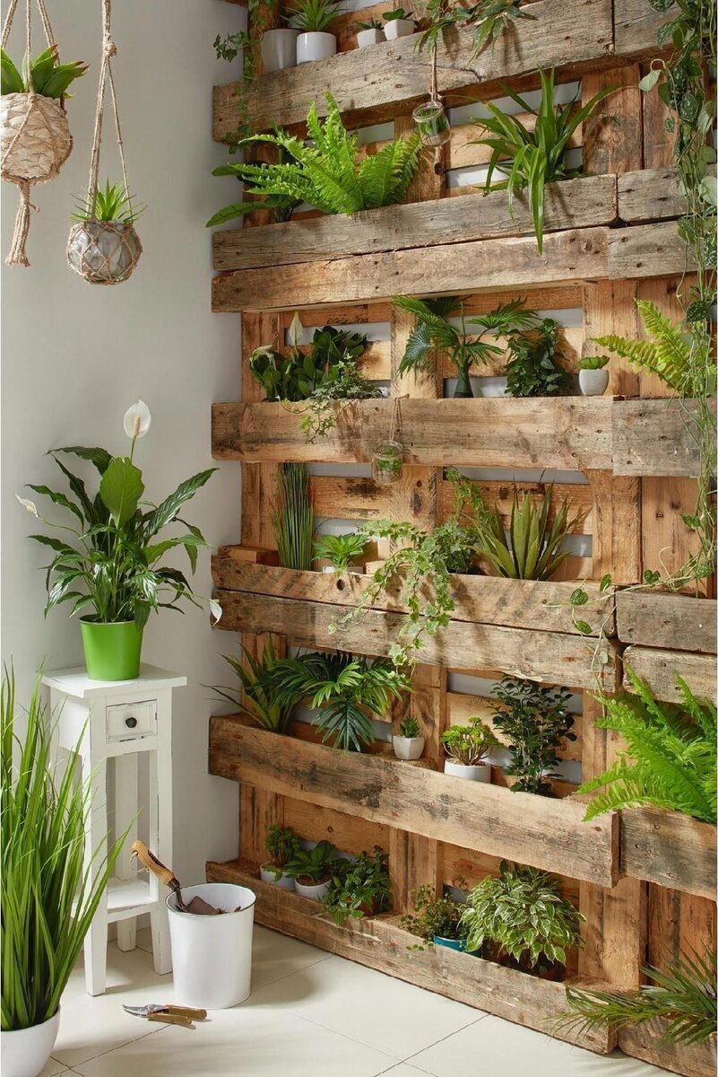 Декор стен полками с растениями