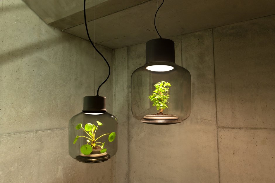 Светильник с растениями внутри