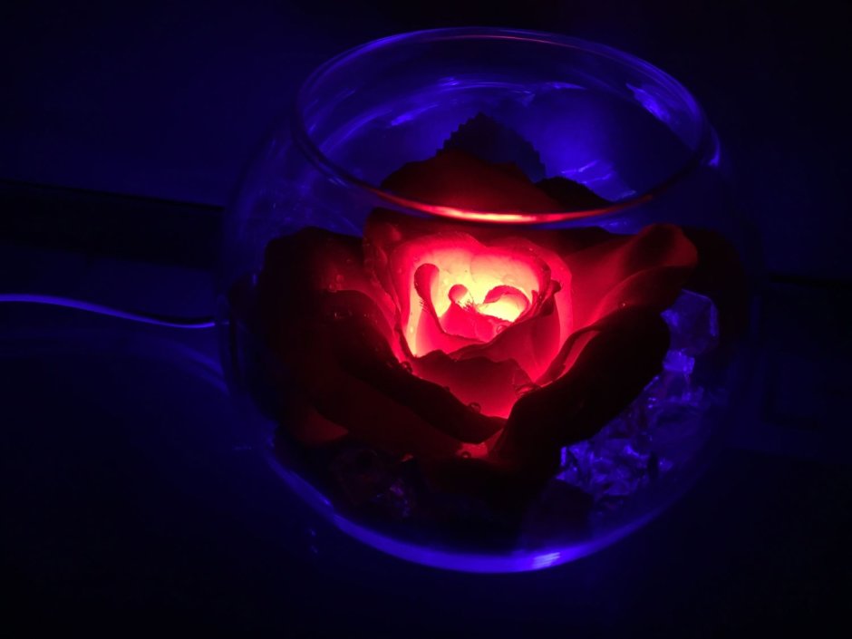 Светящаяся роза